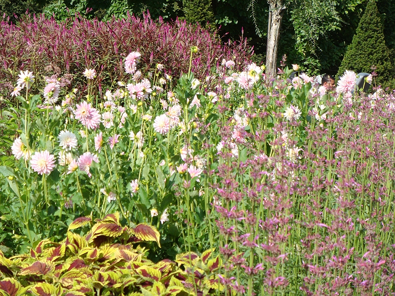 174 Longwood Gardens [2008 August 23].JPG - Longwood Gardens in Pennsylvania